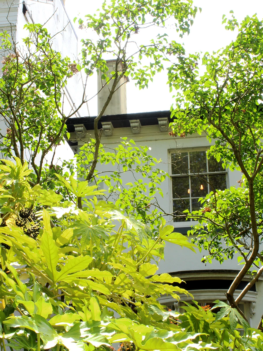 Bulb Studios building, with an array of plants and bushes in the foreground