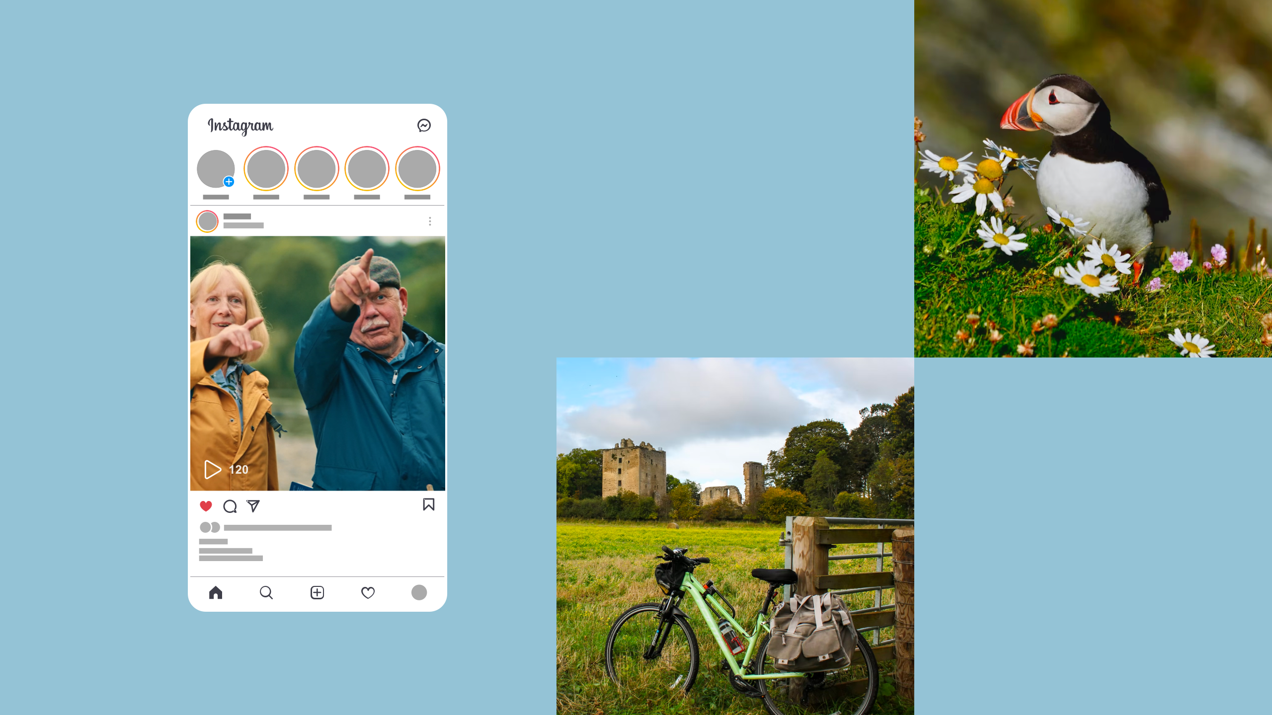 collage of Scotland's wildlife and nature, with Instagram post template
